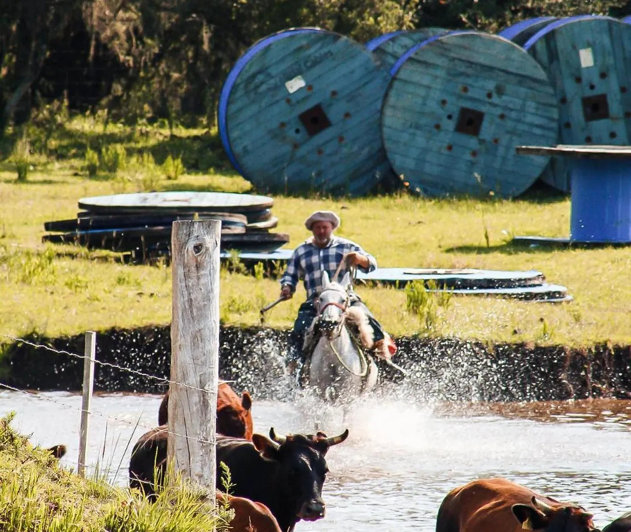 Fazenda Invernada Grande Turismo Rural Bom Jardim da Serra